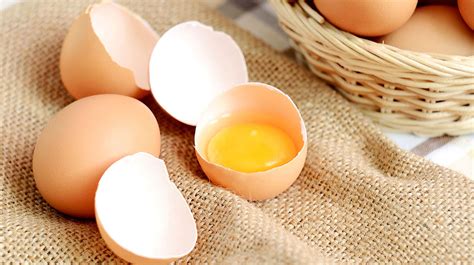 yumurta kabuğu faydaları nelerdir